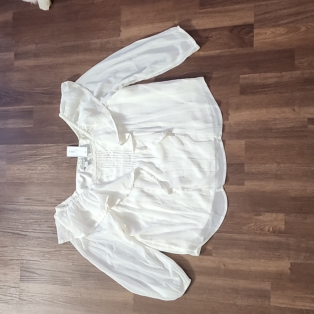 Sheer Sleeved Blouse